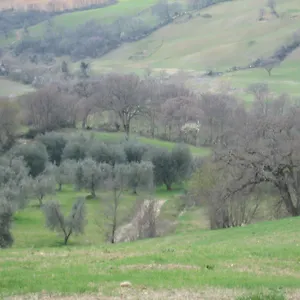Casa Fibbianello Alloggio per agriturismo Semproniano